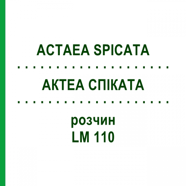 АКТЕА СПИКАТА (ACTAEA SPICATA) LM 110 раствор 10 мл - Гомеопатия ARCANA DR.SEWERIN