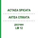 АКТЕА СПИКАТА (ACTAEA SPICATA) LM 12 раствор 10 мл - Гомеопатия ARCANA DR.SEWERIN