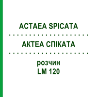 АКТЕА СПИКАТА (ACTAEA SPICATA) LM 120 раствор 10 мл - Гомеопатия ARCANA DR.SEWERIN