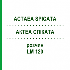 АКТЕА СПИКАТА (ACTAEA SPICATA) LM 120 раствор 10 мл - Гомеопатия ARCANA DR.SEWERIN