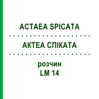 АКТЕА СПІКАТА (ACTAEA SPICATA) LM 14 розчин 10 мл - Гомеопатія ARCANA DR.SEWERIN