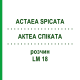 АКТЕА СПИКАТА (ACTAEA SPICATA) LM 18 раствор 10 мл - Гомеопатия ARCANA DR.SEWERIN