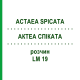 АКТЕА СПИКАТА (ACTAEA SPICATA) LM 19 раствор 10 мл - Гомеопатия ARCANA DR.SEWERIN