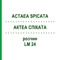 АКТЕА СПИКАТА (ACTAEA SPICATA) LM 24 раствор 10 мл - Гомеопатия ARCANA DR.SEWERIN