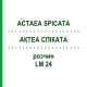 АКТЕА СПИКАТА (ACTAEA SPICATA) LM 24 раствор 10 мл - Гомеопатия ARCANA DR.SEWERIN