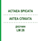 АКТЕА СПИКАТА (ACTAEA SPICATA) LM 26 раствор 10 мл - Гомеопатия ARCANA DR.SEWERIN