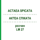 АКТЕА СПИКАТА (ACTAEA SPICATA) LM 27 раствор 10 мл - Гомеопатия ARCANA DR.SEWERIN