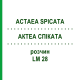 АКТЕА СПИКАТА (ACTAEA SPICATA) LM 28 раствор 10 мл - Гомеопатия ARCANA DR.SEWERIN