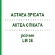 АКТЕА СПИКАТА (ACTAEA SPICATA) LM 36 раствор 10 мл - Гомеопатия ARCANA DR.SEWERIN
