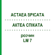 АКТЕА СПИКАТА (ACTAEA SPICATA) LM 7 раствор 10 мл - Гомеопатия ARCANA DR.SEWERIN