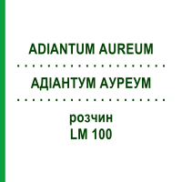 АДІАНТУМ АУРЕУМ (ADIANTUM AUREUM) LM 100 розчин 10 мл - Гомеопатія ARCANA DR.SEWERIN