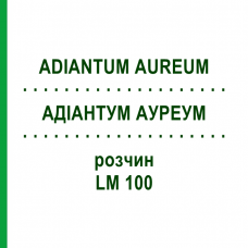 АДИАНТУМ АУРЕУМ (ADIANTUM AUREUM) LM 100 раствор 10 мл - Гомеопатия ARCANA DR.SEWERIN