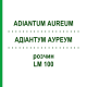АДИАНТУМ АУРЕУМ (ADIANTUM AUREUM) LM 100 раствор 10 мл - Гомеопатия ARCANA DR.SEWERIN