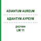 АДИАНТУМ АУРЕУМ (ADIANTUM AUREUM) LM 11 раствор 10 мл - Гомеопатия ARCANA DR.SEWERIN