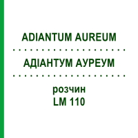 АДІАНТУМ АУРЕУМ (ADIANTUM AUREUM) LM 110 розчин 10 мл - Гомеопатія ARCANA DR.SEWERIN