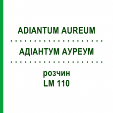 АДИАНТУМ АУРЕУМ (ADIANTUM AUREUM) LM 110 раствор 10 мл - Гомеопатия ARCANA DR.SEWERIN