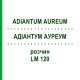 АДИАНТУМ АУРЕУМ (ADIANTUM AUREUM) LM 120 раствор 10 мл - Гомеопатия ARCANA DR.SEWERIN