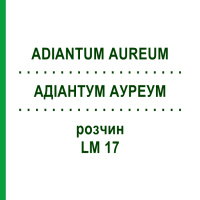 АДІАНТУМ АУРЕУМ (ADIANTUM AUREUM) LM 17 розчин 10 мл - Гомеопатія ARCANA DR.SEWERIN