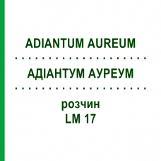 АДИАНТУМ АУРЕУМ (ADIANTUM AUREUM) LM 17 раствор 10 мл - Гомеопатия ARCANA DR.SEWERIN