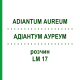 АДИАНТУМ АУРЕУМ (ADIANTUM AUREUM) LM 17 раствор 10 мл - Гомеопатия ARCANA DR.SEWERIN
