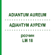 АДИАНТУМ АУРЕУМ (ADIANTUM AUREUM) LM 18 раствор 10 мл - Гомеопатия ARCANA DR.SEWERIN