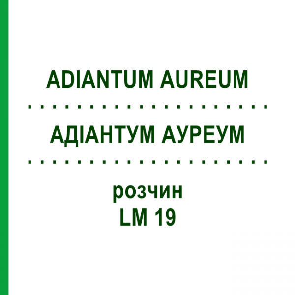 АДИАНТУМ АУРЕУМ (ADIANTUM AUREUM) LM 19 раствор 10 мл - Гомеопатия ARCANA DR.SEWERIN