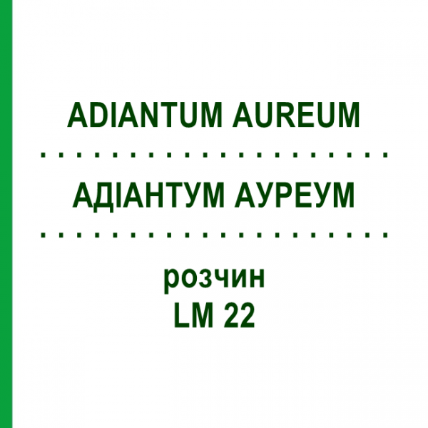 АДИАНТУМ АУРЕУМ (ADIANTUM AUREUM) LM 22 раствор 10 мл - Гомеопатия ARCANA DR.SEWERIN