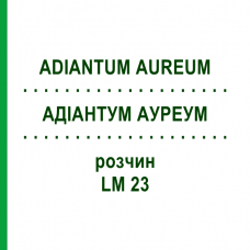 АДИАНТУМ АУРЕУМ (ADIANTUM AUREUM) LM 23 раствор 10 мл - Гомеопатия ARCANA DR.SEWERIN