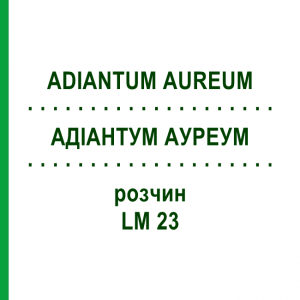 АДИАНТУМ АУРЕУМ (ADIANTUM AUREUM) LM 23 раствор 10 мл - Гомеопатия ARCANA DR.SEWERIN
