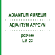 АДИАНТУМ АУРЕУМ (ADIANTUM AUREUM) LM 23 раствор 10 мл - Гомеопатия ARCANA DR.SEWERIN
