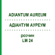 АДИАНТУМ АУРЕУМ (ADIANTUM AUREUM) LM 24 раствор 10 мл - Гомеопатия ARCANA DR.SEWERIN