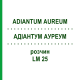 АДИАНТУМ АУРЕУМ (ADIANTUM AUREUM) LM 25 раствор 10 мл - Гомеопатия ARCANA DR.SEWERIN