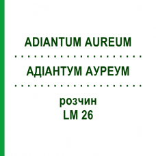АДИАНТУМ АУРЕУМ (ADIANTUM AUREUM) LM 26 раствор 10 мл - Гомеопатия ARCANA DR.SEWERIN