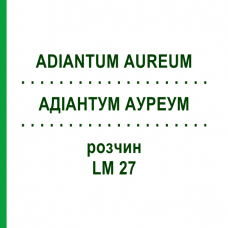 АДИАНТУМ АУРЕУМ (ADIANTUM AUREUM) LM 27 раствор 10 мл - Гомеопатия ARCANA DR.SEWERIN