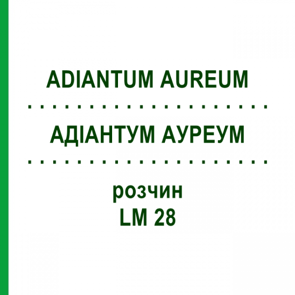 АДИАНТУМ АУРЕУМ (ADIANTUM AUREUM) LM 28 раствор 10 мл - Гомеопатия ARCANA DR.SEWERIN