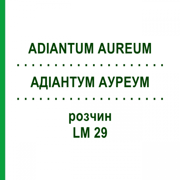 АДИАНТУМ АУРЕУМ (ADIANTUM AUREUM) LM 29 раствор 10 мл - Гомеопатия ARCANA DR.SEWERIN