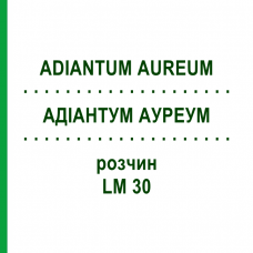 АДИАНТУМ АУРЕУМ (ADIANTUM AUREUM) LM 30 раствор 10 мл - Гомеопатия ARCANA DR.SEWERIN