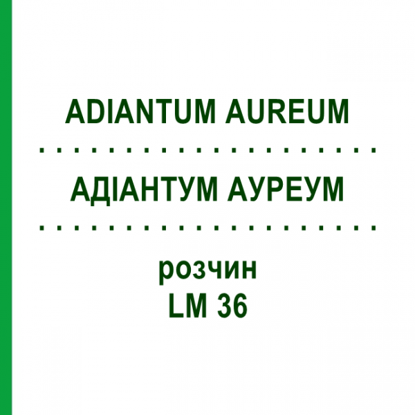АДИАНТУМ АУРЕУМ (ADIANTUM AUREUM) LM 36 раствор 10 мл - Гомеопатия ARCANA DR.SEWERIN
