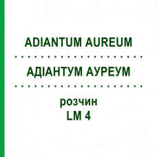 АДИАНТУМ АУРЕУМ (ADIANTUM AUREUM) LM 4 раствор 10 мл - Гомеопатия ARCANA DR.SEWERIN