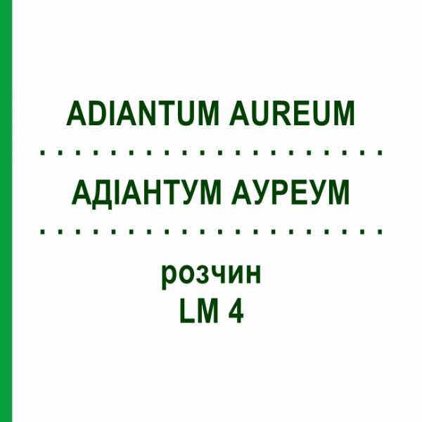 АДИАНТУМ АУРЕУМ (ADIANTUM AUREUM) LM 4 раствор 10 мл - Гомеопатия ARCANA DR.SEWERIN