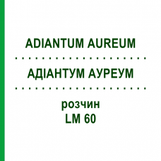 АДИАНТУМ АУРЕУМ (ADIANTUM AUREUM) LM 60 раствор 10 мл - Гомеопатия ARCANA DR.SEWERIN