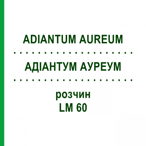 АДИАНТУМ АУРЕУМ (ADIANTUM AUREUM) LM 60 раствор 10 мл - Гомеопатия ARCANA DR.SEWERIN