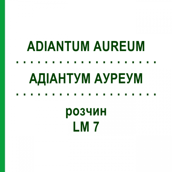 АДИАНТУМ АУРЕУМ (ADIANTUM AUREUM) LM 7 раствор 10 мл - Гомеопатия ARCANA DR.SEWERIN