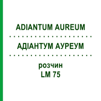АДІАНТУМ АУРЕУМ (ADIANTUM AUREUM) LM 75 розчин 10 мл - Гомеопатія ARCANA DR.SEWERIN