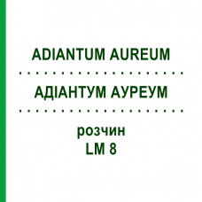 АДИАНТУМ АУРЕУМ (ADIANTUM AUREUM) LM 8 раствор 10 мл - Гомеопатия ARCANA DR.SEWERIN
