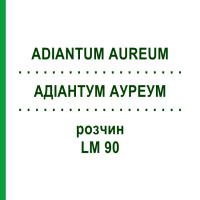 АДІАНТУМ АУРЕУМ (ADIANTUM AUREUM) LM 90 розчин 10 мл - Гомеопатія ARCANA DR.SEWERIN