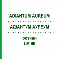 АДИАНТУМ АУРЕУМ (ADIANTUM AUREUM) LM 90 раствор 10 мл - Гомеопатия ARCANA DR.SEWERIN