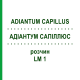 АДИАНТУМ САПИЛЛЮС (ADIANTUM CAPILLUS) LM 1 раствор 10 мл - Гомеопатия ARCANA DR.SEWERIN