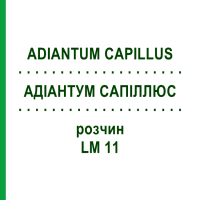 АДИАНТУМ САПИЛЛЮС (ADIANTUM CAPILLUS) LM 11 раствор 10 мл - Гомеопатия ARCANA DR.SEWERIN