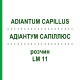 АДИАНТУМ САПИЛЛЮС (ADIANTUM CAPILLUS) LM 11 раствор 10 мл - Гомеопатия ARCANA DR.SEWERIN